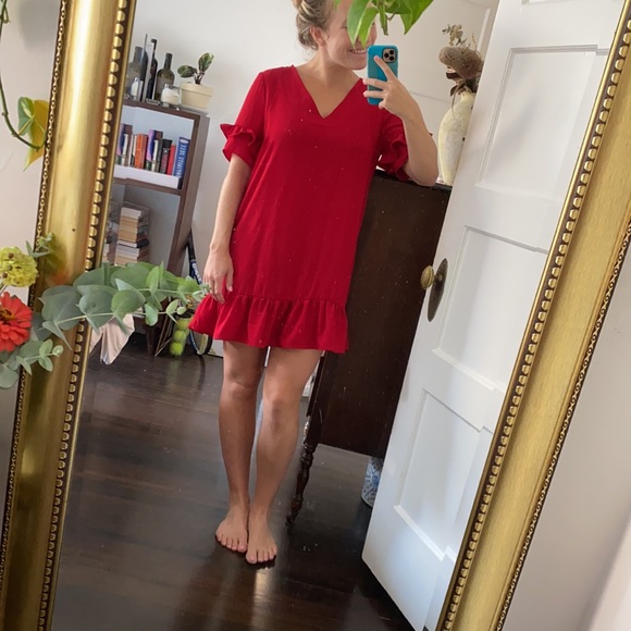 EUC Zara Dress - Picture 4 of 4